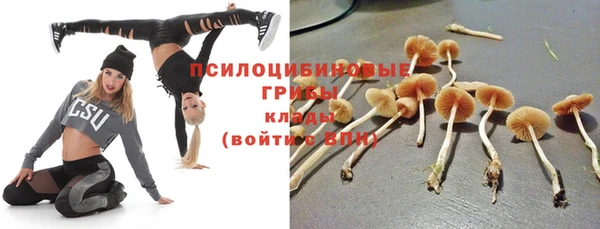 PSILOCYBIN Инта