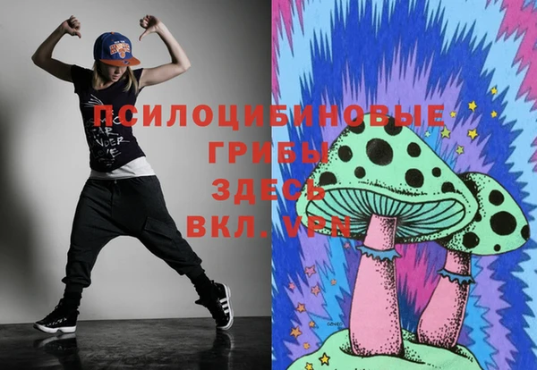 PSILOCYBIN Инта