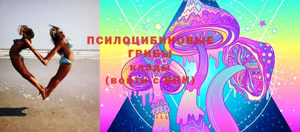 PSILOCYBIN Инта