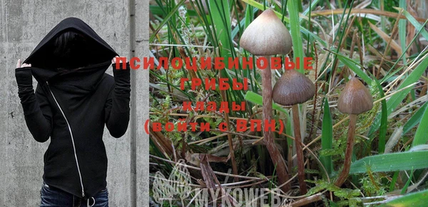 PSILOCYBIN Инта