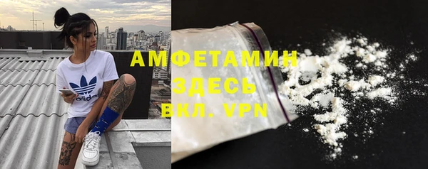 прущая мука Инсар